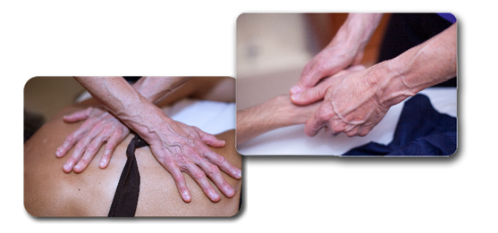 Massage Therapist Sandra Wheeler Ashland Oregon, Biodynamic Myofascial Release Craniosacral Therapy 